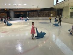 -TheRink大零溜冰场(IFS国金中心店)