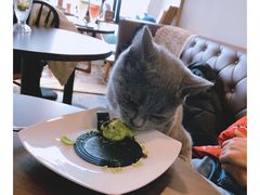 -共舞时光猫咖·狗咖(新街口店)