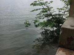 -翠屏湖景区