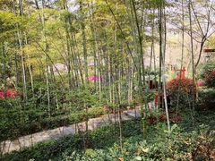 -天目湖御水温泉·度假酒店