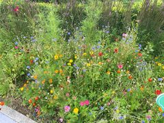 -水上乐园·欢乐世界