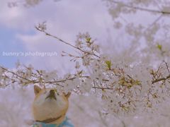 -龙美术馆(西岸馆)