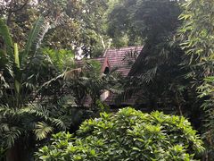 -四季酒店下午茶