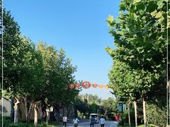 -石家庄市动物园