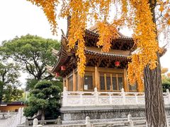 -上海东林寺(金山区)