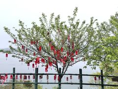 -福建鲤鱼洲酒店