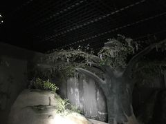 -六合国家地质公园桂子山景区