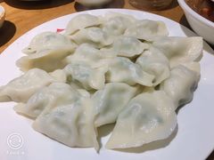羊肉鲅鱼水饺-船歌·鱼水饺青岛菜(闽江二路店)
