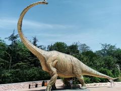 -青岛方特梦幻王国