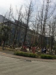 -成都市妇女儿童中心医院(中心院区)