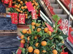 -中大国际(南大街店)