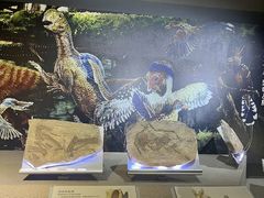 -中国西峡恐龙遗迹园