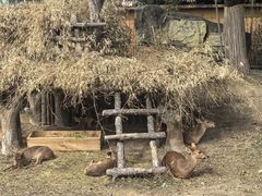 -宁波野生动物园