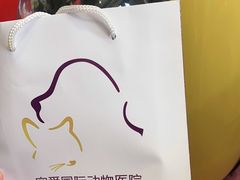 -宠爱国际动物医院·疑难骨科·心肾内科·皮肤科(太阳宫店)