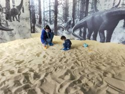 -恐龙探索乐园(磁器口店)