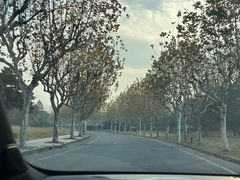 -同济大学(嘉定校区)