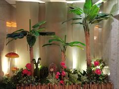 -云中小雅