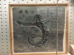 -浙江自然博物院(杭州馆)