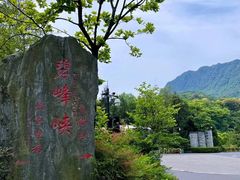 -碧峰峡风景区