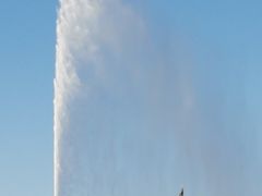 -人民防洪胜利纪念塔