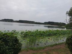 -丁香湖公园