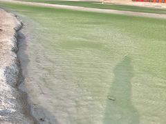 -盐湖景区