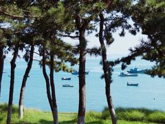 -海源公园