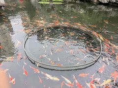 -桃园盛宴·岭南粤菜·手工茶点(南庄店)