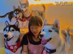 -Husky Go! 哈士奇体验馆·宠物咖啡厅狗咖
