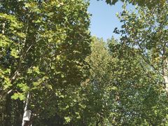 -滨河世纪广场公园