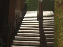-新紫霞养生·影院足道·SPA(金山区店)