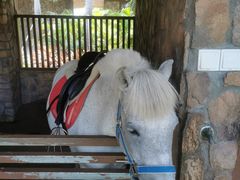 -珠海海泉湾神秘岛亲子乐园