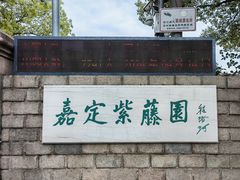 -嘉定紫藤园