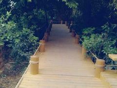 iphone_upload_pic-成都市活水公园