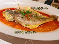 -维园悦谱·海派家常菜(乌鲁木齐南路店)
