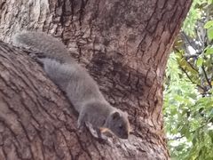 -知味观(湖滨总店)