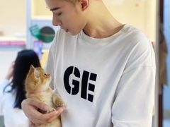 -lincat·猫舍(广州店)