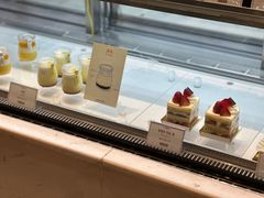 -新世界百货(明洞总店)