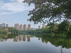 -重庆彩云湖湿地公园