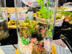 -奔驰上海利星(七宝店)