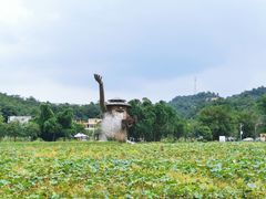 -红山村