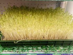 -一斗火锅·招财羊毛肚(北温泉九号店)