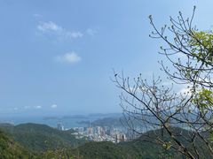 -梧桐山风景名胜区