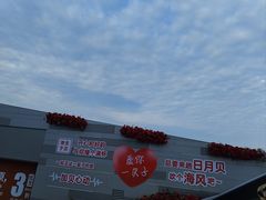 -野狸岛
