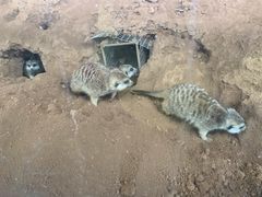 -济南野生动物世界