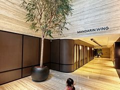 -新加坡乌节希尔顿酒店 (SG Clean)
