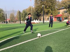 -北京市海淀区尚丽外国语学校