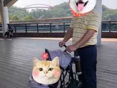 -金鸡山公园