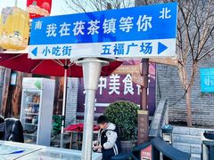 -茯茶镇