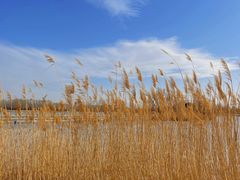 -野鸭湖国家湿地公园